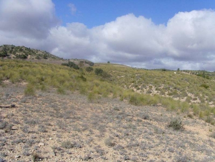 Yecla&nbsp;property:&nbsp;Land&nbsp;for&nbsp;sale&nbsp;in&nbsp;Yecla,&nbsp;Spain&nbsp;99329