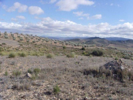 Yecla&nbsp;property:&nbsp;Land&nbsp;with&nbsp;bedroom&nbsp;in&nbsp;Yecla,&nbsp;Spain&nbsp;99329