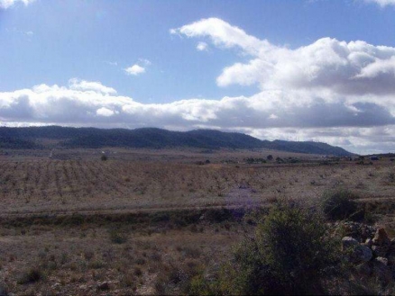 Yecla&nbsp;property:&nbsp;Land&nbsp;in&nbsp;Murcia&nbsp;for&nbsp;sale&nbsp;99329