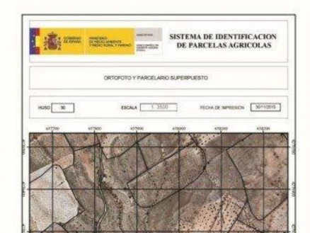 Yecla&nbsp;property:&nbsp;Murcia&nbsp;property&nbsp;|&nbsp;bedroom&nbsp;Land&nbsp;99329