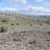 Yecla&nbsp;property:&nbsp;bedroom&nbsp;Land&nbsp;in&nbsp;Yecla,&nbsp;Spain&nbsp;99329