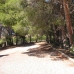 Yecla property: House in Yecla 99353