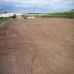 Pinoso property: Land in Alicante 99357