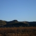 Pinoso property: Alicante Land, Spain 99357