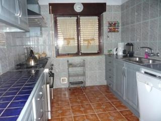 Pinoso property: Pinoso House 99359