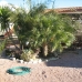 Mutxamel property: Beautiful Villa for sale in Mutxamel 99375
