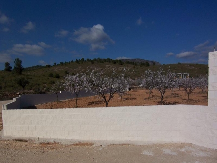 Pinoso property: Land with 4 bedroom in Pinoso, Spain 99395