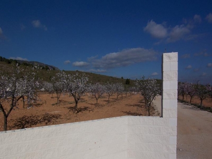 Pinoso property: Land in Alicante for sale 99395