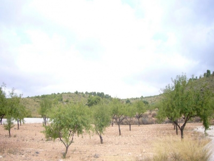 Pinoso property: Pinoso, Spain | Land for sale 99395