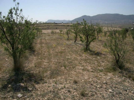 La Romana property: Land with bedroom in La Romana, Spain 99484