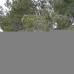 Pinoso property: 3 bedroom House in Pinoso, Spain 99485