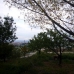 Pinoso property: Beautiful House for sale in Alicante 99485