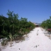 Pinoso property: 4 bedroom Villa in Alicante 99490