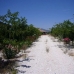 Pinoso property: Pinoso Villa, Spain 99490