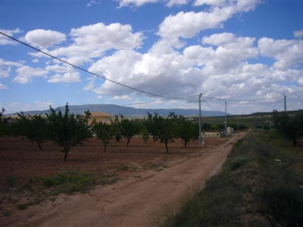 Pinoso property: Land with bedroom in Pinoso, Spain 99493