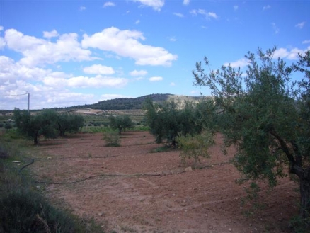 Pinoso property: Land for sale in Pinoso, Alicante 99493