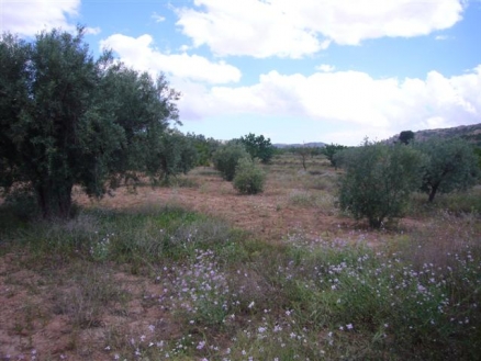 Pinoso property: Land in Alicante for sale 99493