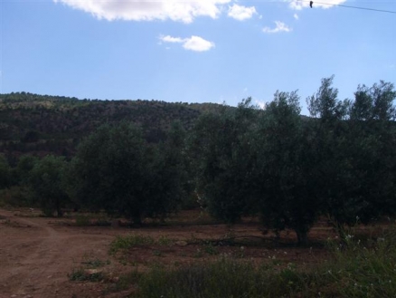 Pinoso property: Pinoso Land 99493