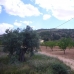 Pinoso property: bedroom Land in Pinoso, Spain 99493