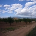 Pinoso property: bedroom Land in Alicante 99493