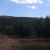 Pinoso property: Beautiful Land for sale in Alicante 99493