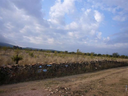 Yecla property: Yecla, Spain | Land for sale 99563
