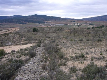 Pinoso property: Land for sale in Pinoso, Alicante 99572