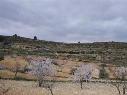 Pinoso property: Land in Alicante for sale 99572