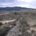 Pinoso property: Land in Alicante 99572