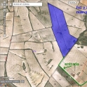 Jumilla property: Land for sale in Jumilla 99575