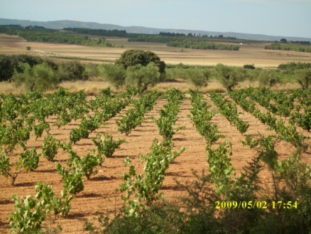 Villena property: Land for sale in Villena 99584