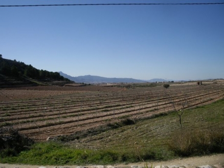 Pinoso property: Villa with 3 bedroom in Pinoso 99595