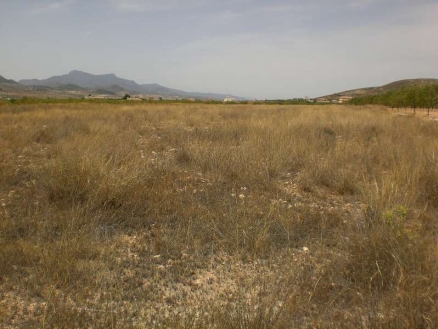 Pinoso property: Land with bedroom in Pinoso 99611