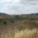 Jumilla property: Jumilla, Spain Land 99621