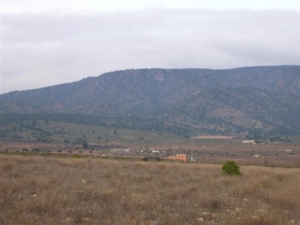 Pinoso property: Land for sale in Pinoso 99628