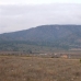 Pinoso property: Alicante, Spain Land 99628
