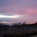 Jumilla property: Murcia, Spain Land 99629