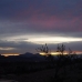Jumilla property: Jumilla Land, Spain 99629