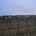 Pinoso property: Land for sale in Pinoso 99630