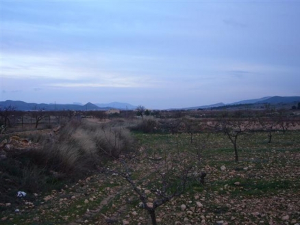 Pinoso property: Land for sale in Pinoso, Alicante 99630