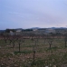 Pinoso property: Land for sale in Pinoso 99630