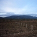 Pinoso property: bedroom Land in Alicante 99631
