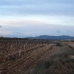 Pinoso property: Land in Pinoso 99631