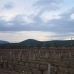 Pinoso property: Pinoso Land, Spain 99631