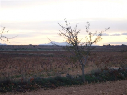 Pinoso property: Land in Alicante for sale 99633