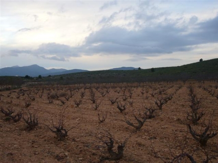 Pinoso property: Alicante property | bedroom Land 99633