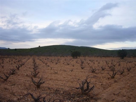 Pinoso property: Pinoso, Spain | Land for sale 99633