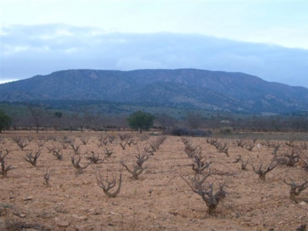 Pinoso property: Pinoso Land 99633