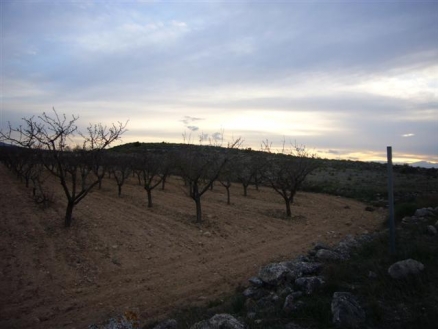 Pinoso property: Land with bedroom in Pinoso 99635