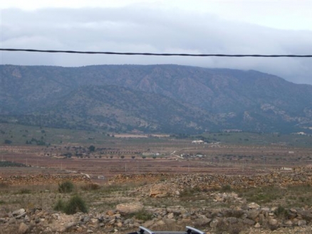 Pinoso property: Alicante property | bedroom Land 99635